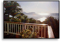 view-1 image