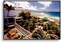 view-3 image