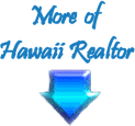 Honolulu Real Estate-more of Hawaii Realtor